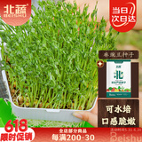 北蔬 麻豌豆种子种苗芽苗菜水培无土栽培蔬菜种籽 北蔬麻豌豆种子500g