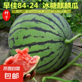 【西瓜套餐】西瓜种子西瓜阳台盆栽农家田园瓜种大全各种各样 冰糖麒麟西瓜种子2包约100粒