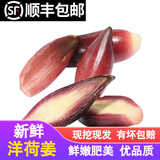 辰实【发顺丰】阳荷姜新鲜 洋荷姜现挖 阳霍洋河菜阳合笋 1斤【现挖】