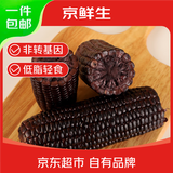 京鲜生&黑熊查克黑糯玉米240g*8根低脂早餐真空包装源头直发