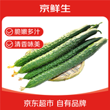 家美舒达山东特产 带刺黄瓜 长黄瓜 1.5斤 出口级 新鲜蔬菜