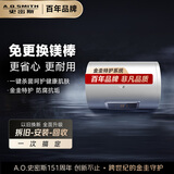 史密斯（A.O.SMITH）60升电热水器 专利免更换镁棒 金圭内胆 短款 速热节能 大屏E60VC0-B 一级能效