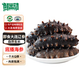鲜出动大连即食海参刺参深海辽刺参海参干货7-13头 净重500g