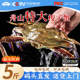 新鲜梭子蟹鲜活冷冻大螃蟹舟山海鲜水产野生梭子蟹活冻飞蟹白蟹 7-9两/只 【净重5斤 舟山直发】