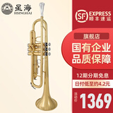 星海（XINGHAI INSTRUMENT）降b调小号乐器 XT-100/120学生考级儿童初学入门款学校乐队通用 升级XT-100型-黄铜变音管