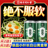 南同四海南京同仁堂肾精草50g嗷嗷叫黄金草搭特野外生肾精茶级化石草泡水