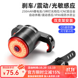 洛克兄弟（ROCKBROS）自行车尾灯USB充电骑行安全夜骑车灯警示灯公路山地车尾灯配件 智能感应小巧轻量Q5mini(双支款)