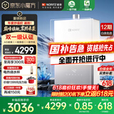 能率（NORITZ）【小云朵UP】16升燃气热水器 天然气【家电国家补贴15%】AG玻璃 一级静音 节能水伺服 16EX33AFEX 