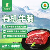 天莱香牛新疆有机原切大块牛腩1斤 谷饲300天 排酸牛肉 生鲜 烧烤食材