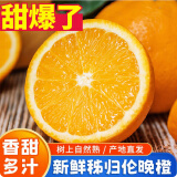 集年鲜湖北秭归轮晚橙当季新鲜水果现摘现发节日送礼生鲜 品鉴装净重4.5斤（单果60-65mm）