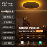 RIGHTWAY卧室灯led吸顶灯儿童房间灯卧室灯具主卧灯护眼智能带遥控2025款 主灯+背面夜灯-40cm（10-20㎡） 10-20㎡