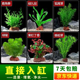 疯狂水草（FKSC）真水草鱼缸造景套餐净化水质懒人鱼缸水草植物直接入缸蜈蚣草 【火山石】好养易活适合30-40缸
