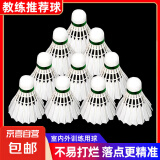 羽毛球正品白羽耐打白色比赛防风训练用球室内室外专业 【专业款】耐打无标-12只装 1筒