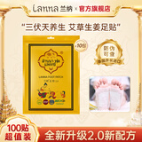 兰纳泰国足贴三伏天养生脚贴生姜艾草艾叶艾灸贴足底贴男女士四季通用 十包100贴