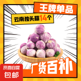 京喜自营云南蒜独头蒜调料京东买菜蔬菜新鲜独头蒜 【14个独头蒜】总重 50g 单果1.5-2cm