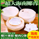 鲜苑胖胖海南整箱椰青2-9个装当季现摘新鲜大果 低糖椰汁椰子水 孕妇水果 带皮椰子两个装（带皮）