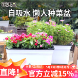 花沃里花盆自吸水长方形种菜盆 塑料双层加厚种植箱种菜箱多肉塑料花盆