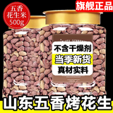 盛庆邦五香花生米下酒菜五香烤花生米正宗山东脱油花生蒜香花生坚果炒货 蒜香烤花生500g*1罐【香酥可口】