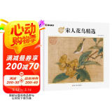 墨点美术 宋人花鸟精选赏析宋代名家作品国画经典画册花鸟果熟来禽图桑果山鸟图狸猫小影图狸猫图