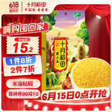 十月稻田 黄小米 1kg 五谷杂粮 粥米 粗粮 早餐小米粥 小米新米 2斤