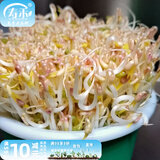 寿禾 豆种子豌豆苗夏秋菜芽菜种籽蔬菜四季绿豆菜籽 绿豆芽种子 1斤