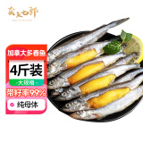 卖鱼七郎加拿大冷冻全籽多春鱼4斤(80-100条）满籽烧烤食材生鲜鱼类海鲜