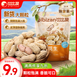 比比赞（BIBIZAN）龙岩花生五香味500g/袋 每日坚果炒货带壳干果下酒休闲零食品