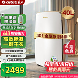 格力（GREE）除湿机家用抽湿机客厅地下室整屋除潮防霉除湿器40升/天单间72㎡ 智能控湿可干衣干燥器DH40EH