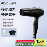 飞科（FLYCO）电吹风机家用便携冷热风护发速干吹风筒2000w大功率FH6231