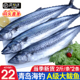 尚致 青岛大鲅鱼新鲜整条鲅鱼海鱼海鲜礼盒马鲛鱼生鲜鱼类 青岛鲅鱼4斤装/2条