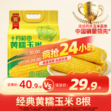 十月稻田 黄糯玉米 3.52斤(220g*8根) 东北甜黏玉米棒 早餐苞米 真空包装