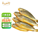 卖鱼七郎 冷冻海捕小黄鱼3斤黄花鱼深海鱼生鲜鱼类烧烤食材