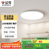 公牛（BULL）吸顶灯IP50防尘防虫卧室阳台过道灯MX-A024C-AS全白24W