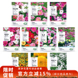 寿禾 花种子苗太阳花格桑花向日葵凤仙花四季花海组合 10种花种子套餐