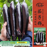 寿禾 长茄种子大果柔嫩家庭菜园蔬菜种籽 黑豹2号长茄种子500粒