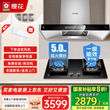 樱花抽油烟机烟灶套装变频欧式24立方大风量家用免拆自清洗负离子净化挥手自清洁油烟机灶具套装 TE18+DGC02【天然气】