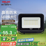 德力西（DELIXI）LED投光灯户外工厂农村庭院灯 IP65防水等级30W白光
