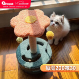 华元宠具（hoopet）猫爬架小型猫抓柱剑麻磨爪猫抓板转盘玩具球猫咪玩具幼猫跳台猫爬 转盘逗猫爬架-太阳花