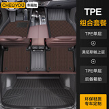 车丽友定制全包围TPE汽车脚垫尾箱垫套餐定制适用于海豹06dmi埃安Y