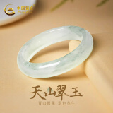 中国黄金玉手镯女玉镯玉石镯子新中式简约百搭生日礼物送女朋友老婆妈妈 天山翠手镯【圈口56】