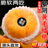 春福乐黄金蟠桃【源头直发】山东蒙阴黄毛蟠桃扁桃子当季新鲜水果现摘 5斤严选装丨果农手挑丨净重4.5斤 黄金毛蟠桃