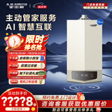 史密斯（A.O.SMITH）燃气壁挂炉【门店爆款】LL1GBQ-E10 天然气家用采暖热水两用壁挂炉 一级能效冷凝锅炉 （定金） 33KW 181-250㎡ 33-E10Ai 务必咨询客服享优惠