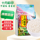 十月稻田 糯米 2斤 （端午食材 粽子米 黏米 东北 五谷 杂粮 真空装)