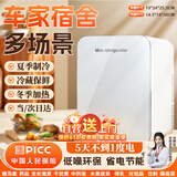 恩柏盛车载冰箱迷你美妆小冰箱家用宿舍租房冷暖箱化妆品药品母乳冷藏箱