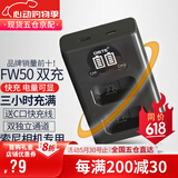 蒂森特（dste）适用于 索尼a7m2 微单相机 fw50电池 RX10M4 A7R ZV-E10 NEX-6 7 5TA6500 A6400 A6400/6000 相机 屏显双槽充电器【送type-