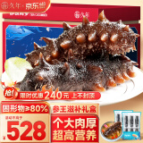久年大连即食海参1000g12-18只 固形物超80% 冷冻辽刺参 海鲜水产礼盒