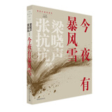 今夜有暴风雪 小说