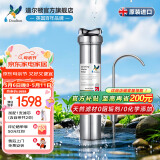 道尔顿（Doulton）净水器家用直饮英国原装进口  道尔顿明星爆款DIS厨下矿物质净水机自来水过滤0废水不用电 DIS套机(自带/加配各1芯共2支)