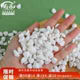 寿禾 白石子小石头多肉盆栽鱼缸造景绿植装饰 6-9mm白卵石500g