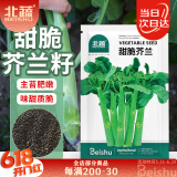 北蔬 甜脆芥兰种子种苗大芯芥蓝四季蔬菜种籽 甜脆芥兰种子5g约1000粒